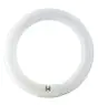 Osram T9 Lumilux Circline 32W - 840 Kaltweiß | 30cm