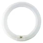 Osram T9 Lumilux Circline 32W - 840 Kaltweiß | 30cm