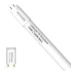 Noxion LED Röhre T8 Avant (EM/Mains) Standard Output 19W 2300lm - 865 Tageslichtweiß | 150cm - Ersatz Für 58W